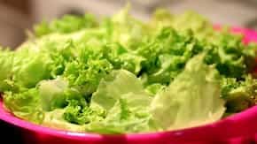 Cucumber To Bottle Gourd, 7 Water-Rich Vegetables For Summer 